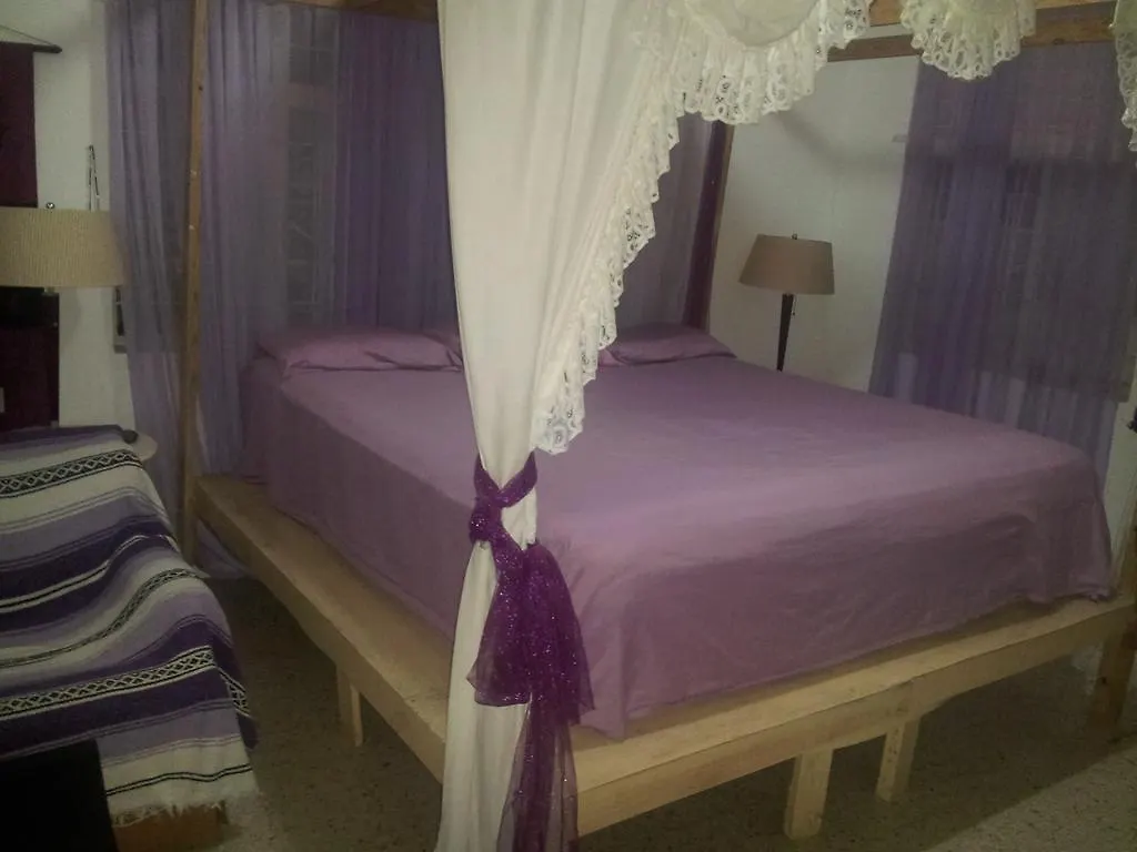 The Durham Hostel Kingston